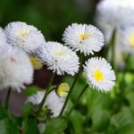 电竞赌博应用中的用户画像与隐私保护问题研究综述 tg3dnehv