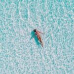 NBA篮球精彩赛事直播,6大焦点对决不容错过 ffkks